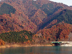 紅葉に彩られた秋の宮ヶ瀬ダム