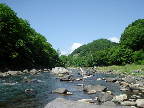 桂川鮎釣り風景