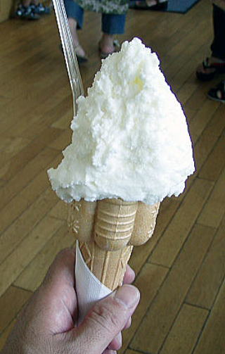 米粒入りジェラートアイスクリーム