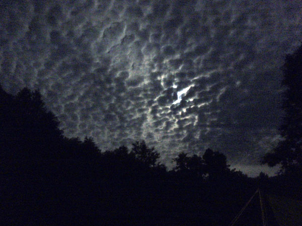 月夜の鱗雲