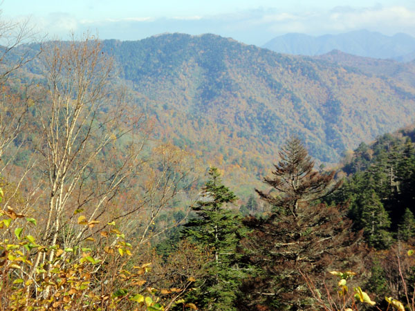 馬坂峠から見た栃木県側の景色