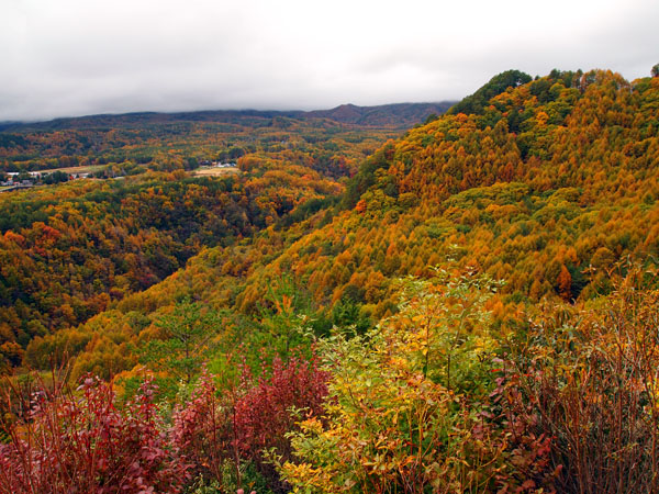 美しい紅葉の九蔵峠からの景色