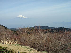 だるま高原より富士山を望む
