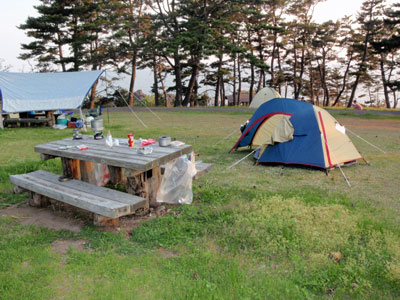 男鹿桜島リゾートキャンプ場のテントサイト