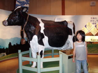 牛の模型