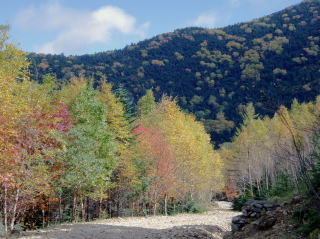 川上牧丘林道の紅葉