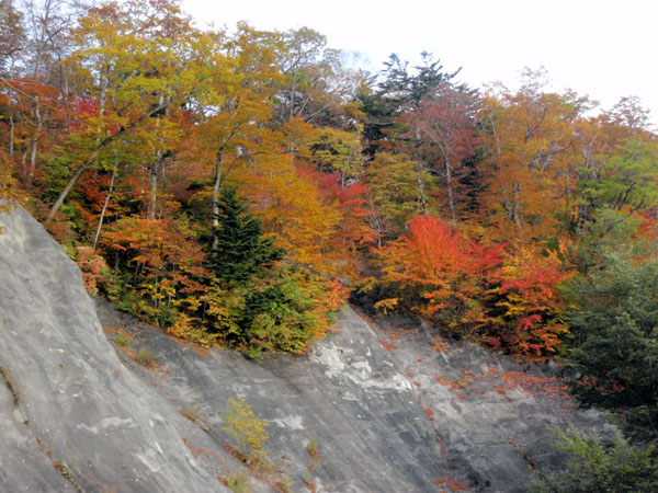 田代山林道の素晴らしい紅葉風景
