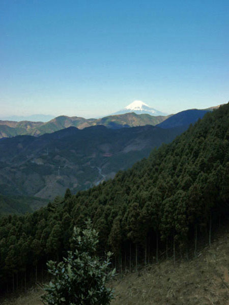 富士山が見える林道