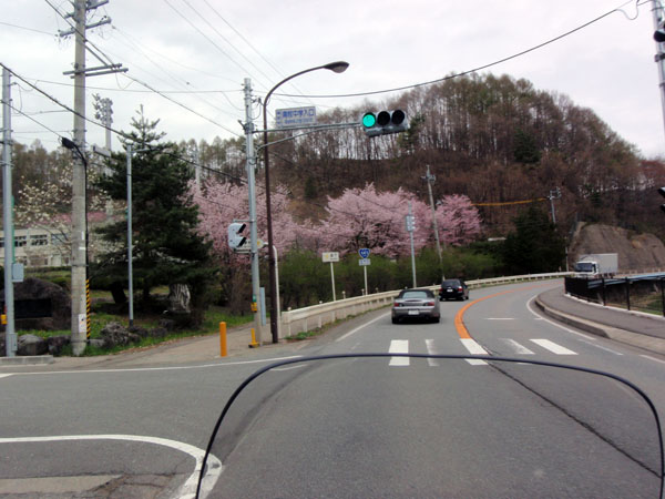 桜が咲いていた風景