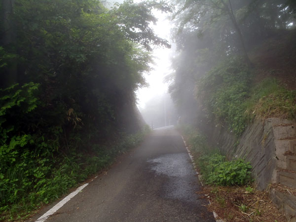 厳道峠の霧